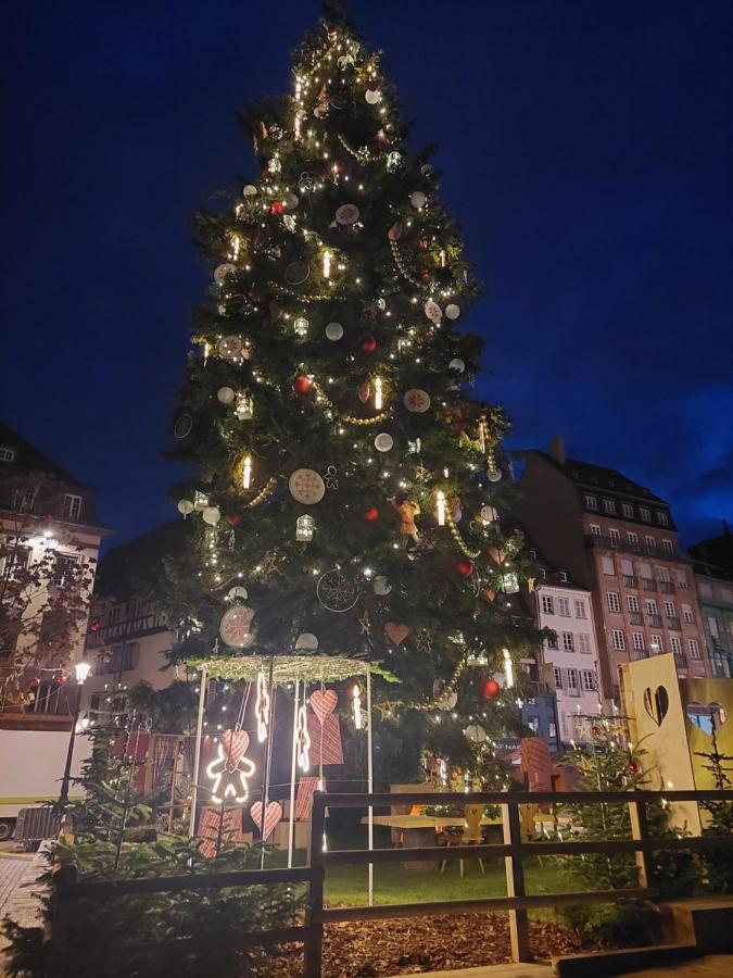 Porte De France สตราสบูร์ก ภายนอก รูปภาพ
